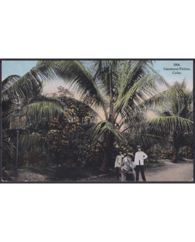 POS-1897 CUBA POSTCARD 1916 1c MAPITAS COCONUT PALM MARIANO TO USA US.