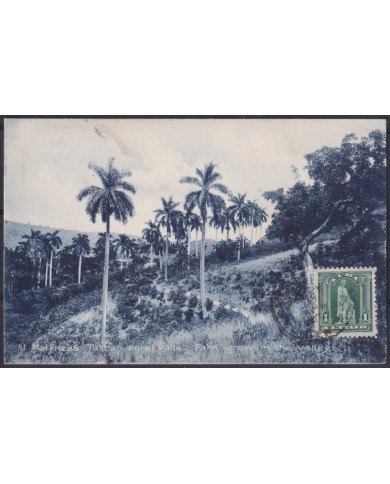 POS-1903 CUBA POSTCARD 1909 PALM VALLEY OF MATANZAS TO FRANCE.