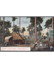 POS-1905 CUBA POSTCARD 1910 COUNTRY LANDSCAPE BOHIO HOUSE TO FRANCE.