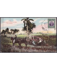 POS-1907 CUBA POSTCARD 1910 COUNTRY TYPICAL CARRIAGE LANDSCAPE VOLANTA TO FRANCE.