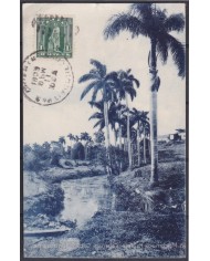 POS-1909 CUBA POSTCARD 1909 MARIANAO COUNTRY PALM LANDSCAPE TO FRANCE.