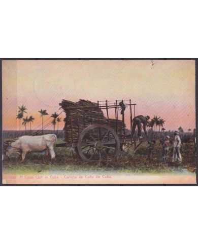 POS-1911 CUBA POSTCARD 1909 COUNTRY LANDSCAPE CANE IN CART CARRETA DE CAÑAS.