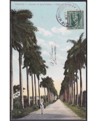 POS-1914 CUBA POSTCARD 1910 HAVANA ROYAL PALM AVENUE CIENFUEGOS TO FRANCE.