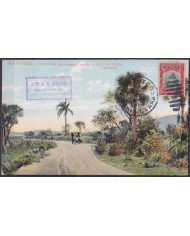 POS-1916 CUBA POSTCARD 1909 PINES IS ROADS & OLD CARS CIENFUEGOS TO FRANCE.