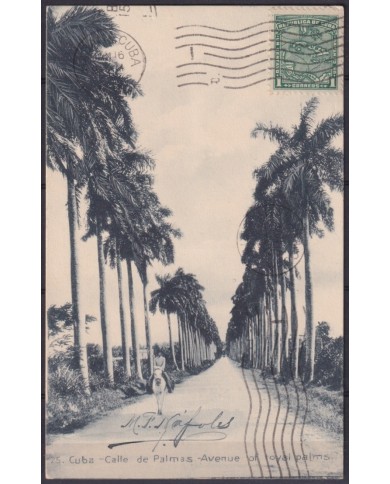 POS-1925 CUBA POSTCARD 1917 1c MAPITAS PALM AVENUE LANDSCAPE TO ARGENTINA.