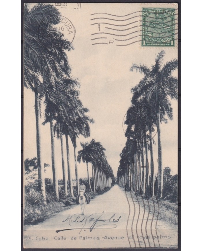 POS-1925 CUBA POSTCARD 1917 1c MAPITAS PALM AVENUE LANDSCAPE TO ARGENTINA.