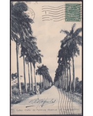 POS-1925 CUBA POSTCARD 1917 1c MAPITAS PALM AVENUE LANDSCAPE TO ARGENTINA.